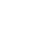 Icon 1 Icon 1